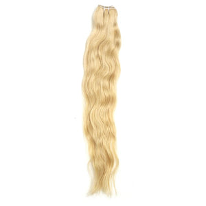 Raw Blonde Bundles